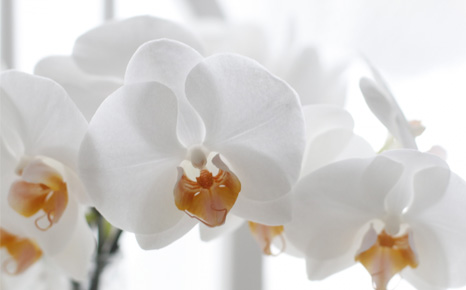 最新設備による精密な治療