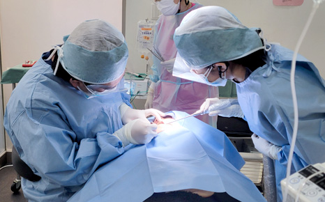 幅広い専門性とスタッフ教育